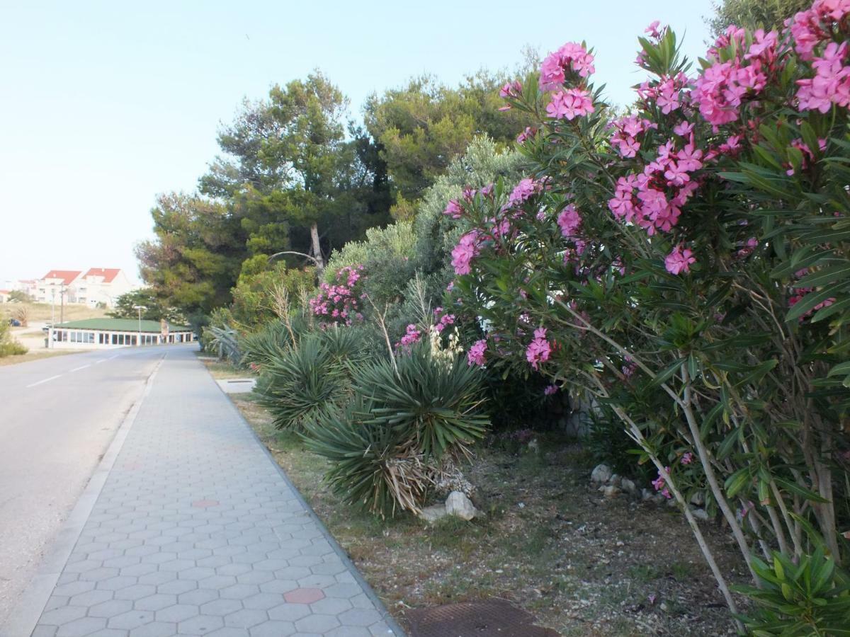 Apartment Jurja Povljana Dış mekan fotoğraf